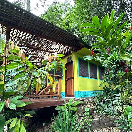 Palmeras Del Rio Hotel Ла-Винья Экстерьер фото