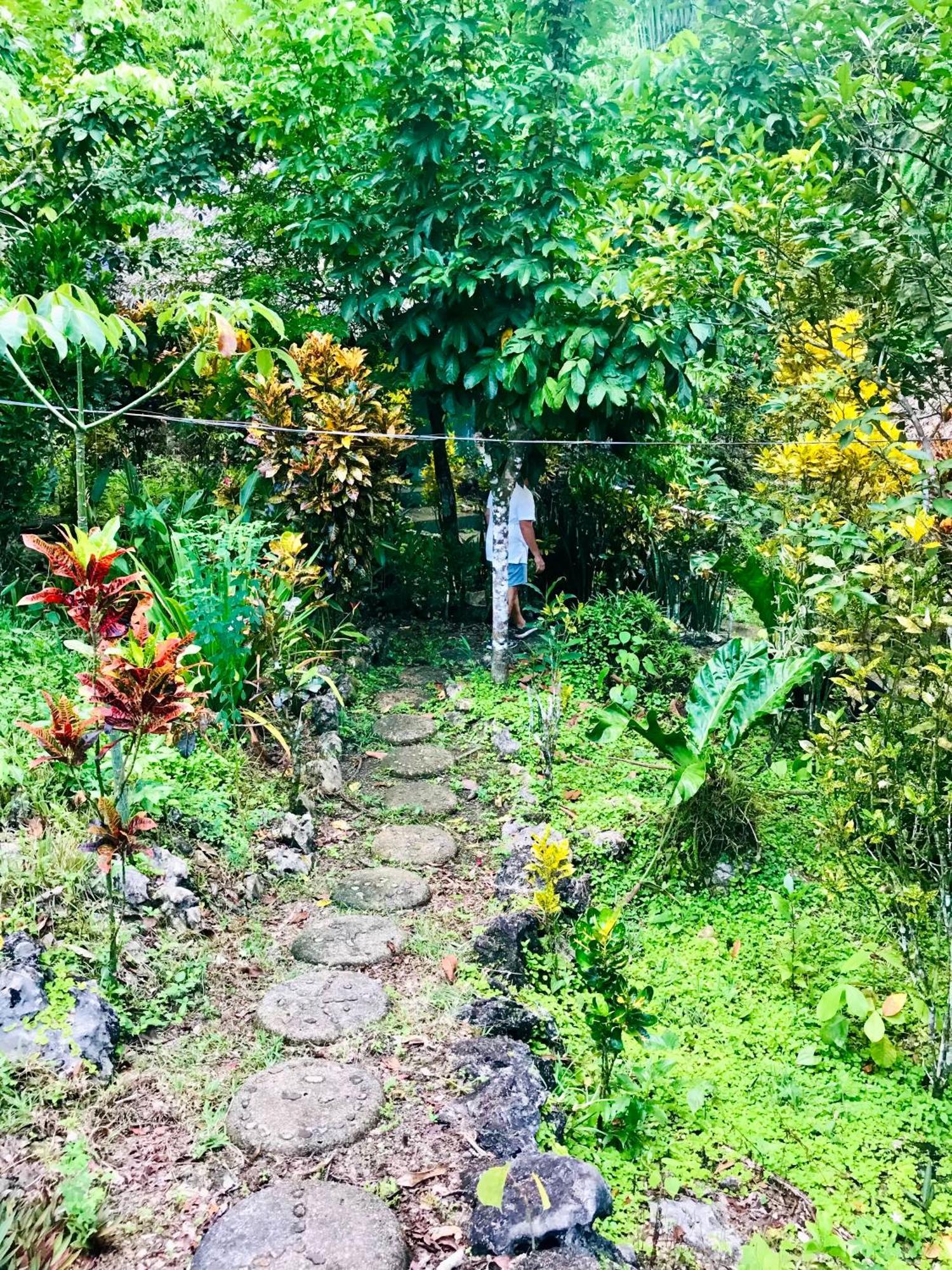 Palmeras Del Rio Hotel Ла-Винья Экстерьер фото