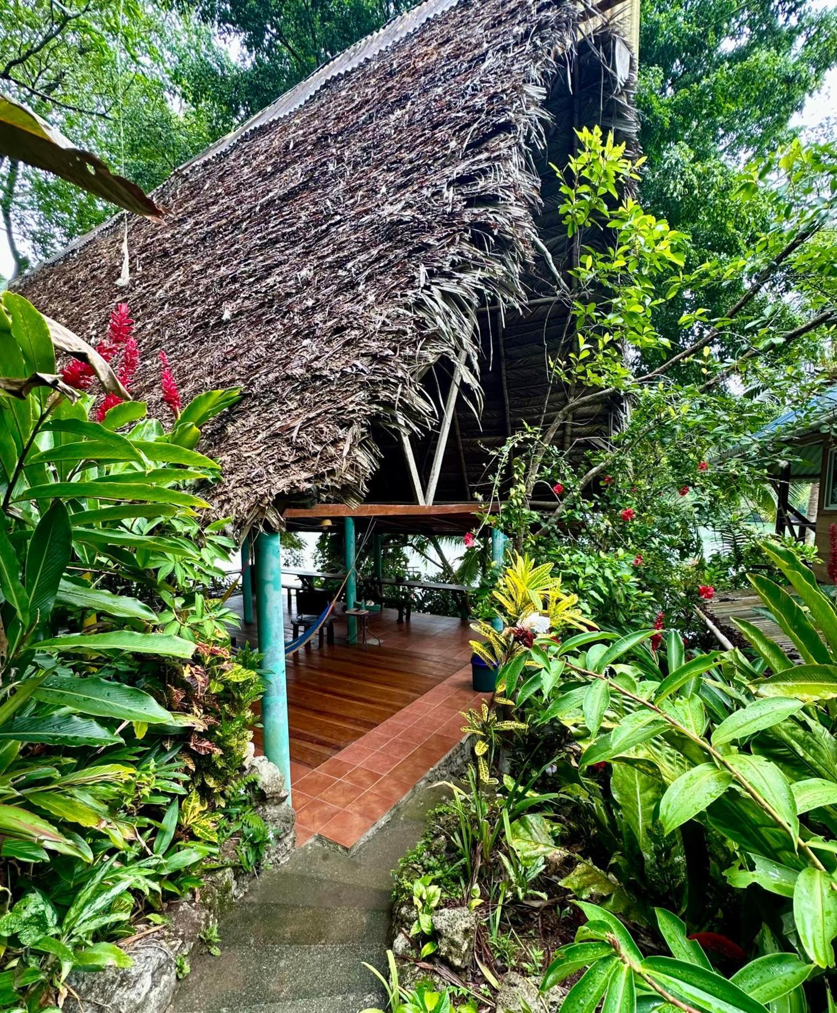 Palmeras Del Rio Hotel Ла-Винья Экстерьер фото