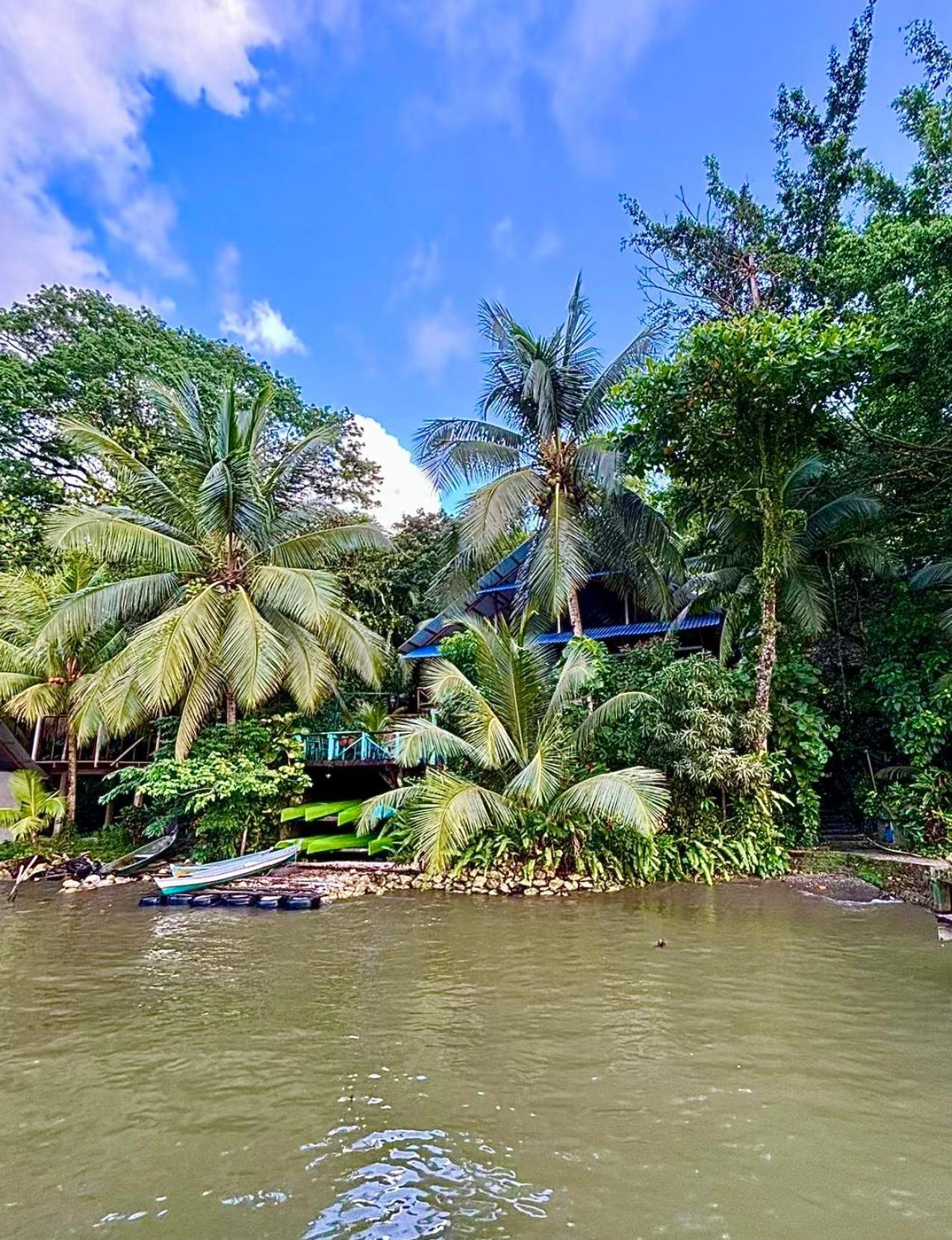 Palmeras Del Rio Hotel Ла-Винья Экстерьер фото